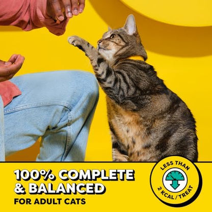 Temptations MixUps Crunchy and Soft Cat Treats, Tasty Human, 16 oz
