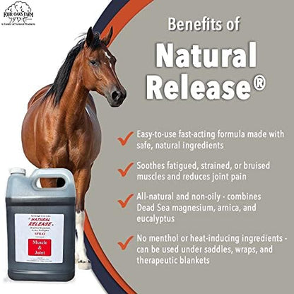 Four Oaks Farm Ventures, Natural Release Muscle Spray Treatment - Horse Liniment for Sore Muscles, Joint Pain, Tendon & Inflammation Relief - Easy to Use, Fast Acting, Alcohol & Menthol Free (1 Gal)
