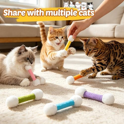 CiyvoLyeen Plush Cotton Swab Catnip Toys for Indoor Cats 6 Pack