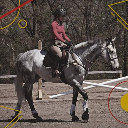 Kavallerie Classic Tendon Boots, Impact-Absorbing Material, Breathable & Evenly Distribute Pressure, Protect Tendon and Ligaments, Anti-Slip, Anti- Sore and Moisture Repellant Show Jumping Boots