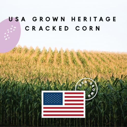 Manna Pro Heritage Purple Corn Chicken Scratch Treat, 10 lb Bag