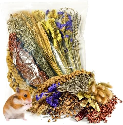 Natural Hamster Flower & Herb Habitat Deocr, Edible Hamster Sprays Flowers Bedding Mate, Hamsters Cage Enrichment Decoration Accessories for Dwarf Syrian Hamster Gerbil Mice Degus
