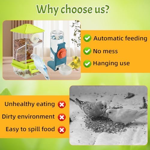 Rypet No-Mess Bird Feeder and Water Dispenser Set for Small Birds