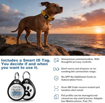 Tactical Dog Collar with QR Code & AirTag Holder, Military Adjustable Durable Reflective Dog Collar for Large Medium Dogs, Built-in Control Handle and Metal Buckle, 2026 New (Yellow-XL)
