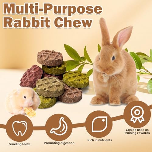 PINVNBY 10PCS Bunny Chew Toys Small Animal Molar Snacks for Teeth Rabbit Treats for Hamster, Chinchilla, Guinea Pig, Squirrels, Gerbils and Small Animals