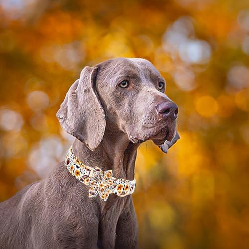 Elegant little tail Fall Dog Collar, Halloween Pet Collars with Bow Cute Pumpkin Print Puppy Collar Female or Male Cotton Adjustable Collars for Small Medium Large Dogs