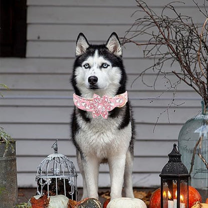 Elegant little tail Halloween Dog Collar, Pink Ghosts Print Dog Collar with Flower Puppy Collar Flower Female Cotton Adjustable Collars for Small Medium Large Dogs