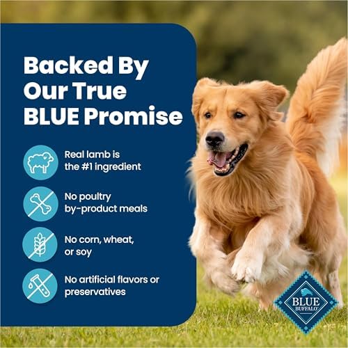 Blue Buffalo Homestyle Recipe Lamb Adult Wet Dog Food, 12.5 oz, 3 ct