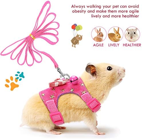SATINIOR 2 Pieces Small Hamster Harness and Leash Set,M,Pink, Blue