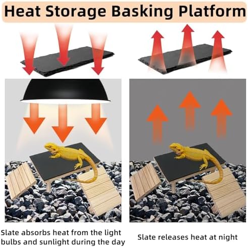 Bearded Dragon Basking Platform with Climbing Ramp,Reptile Basking Rock Slate,Wooden Platform Hide Cave Tank Accessories for Lizard Tortoise Leopard Gecko Snake (M)