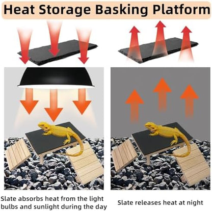Bearded Dragon Basking Platform with Climbing Ramp,Reptile Basking Rock Slate,Wooden Platform Hide Cave Tank Accessories for Lizard Tortoise Leopard Gecko Snake (M)