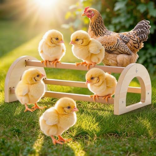 Chicken Roosting Perch Bar - Large Pine Wood with Mirror, Outdoor Use, Easy Installation