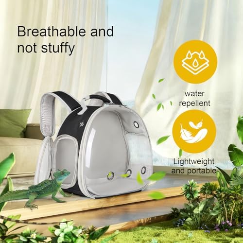 Guinea Pig Backpack Carrier, Bearded Dragon Carrier Backpack with Clear Bubble Window,Small Animal Travel Backpack for Hedgehog Rat Parrot,Rabbit,Sugar Glider,Airline Approved(Black, Backpack)