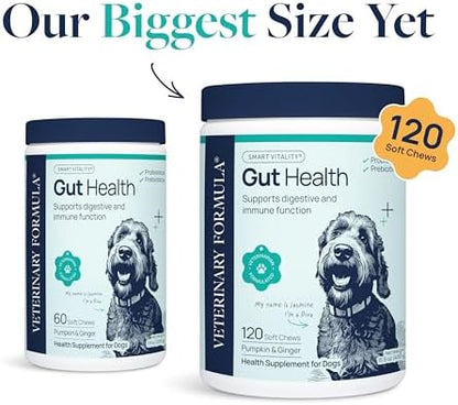 Veterinary Formula Smart Vitality Gut Health Soft Chews for Dogs, 120 Count