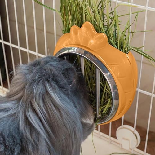 Small Animal Hay Feeder, Chew-Proof ABS Body, 304 Stainless Steel Grid Timothy Alfalfa Rack for Rabbit Bunny Guinea Pig Chinchilla Cage Hutch Crate (34oz, Orange)