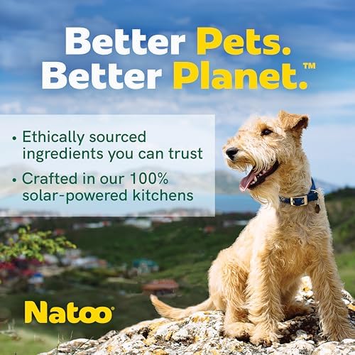 NATOO Dog Treats, Oats Banana and Honey, Small Dogs & Puppies, 8oz