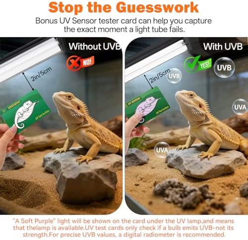 T5 10.0 UVB Reptile Light Fixture Combo Kit 24W 22'', with UV Sensor Card