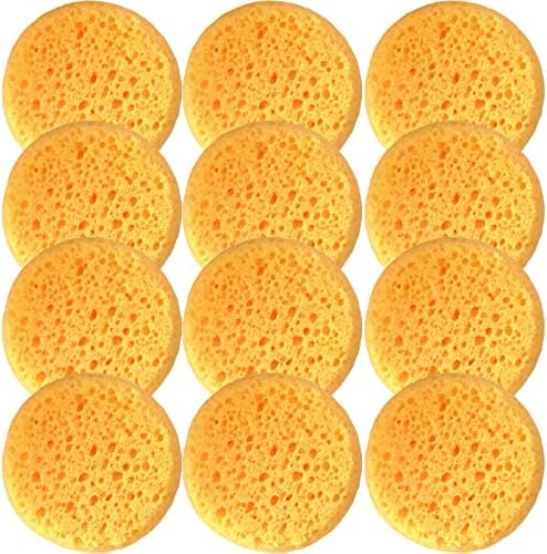 A Box of 12 Tack Sponges (coarse Holes)