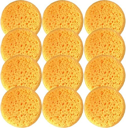 A Box of 12 Tack Sponges (coarse Holes)