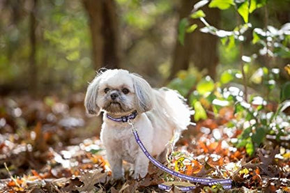 Pets First NFL Licensed Baltimore Ravens Pet Leash, Size Small – Durable Satin Dog & Cat Walking Strap and Pet Tether with Embroidered Team Name & Logo