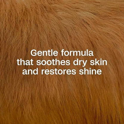ADAMS Plus Botanicals Flea & Tick Shampoo with Precor for Dogs, Cats, Puppies & Kittens, Flea Shampoo to Treat Infestations, Kills Eggs & Lice, Cleans and Conditions Coat, Plant-Based, 16 Ounces