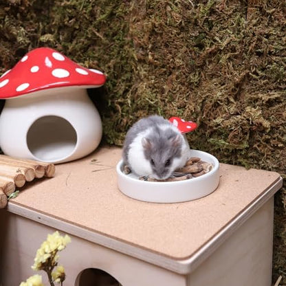 Niteangel Hamster Snack & Treats Toy: Dried Dandelion Roots No Additive