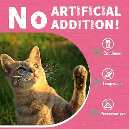 Just Try 36 OZ Urinary Tract Cat Treats for Indoor Cats