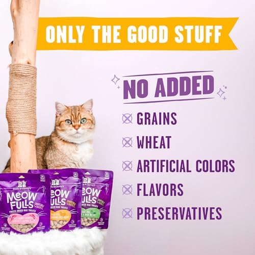 Stella & Chewy's Meowfulls Freeze Dried Cat Treats - Chicken & Chicken Liver Recipe - Raw Protein with Probiotics & Salmon Oil - 1 Calorie Per Treat - 1.5 oz