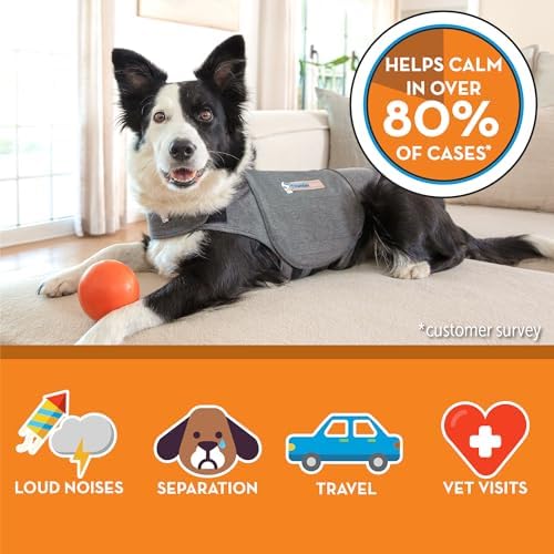 ThunderShirt for Dogs Calming Anxiety Vest, Medium, Heather Gray