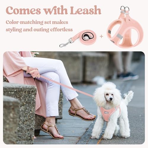 rabbitgoo Dog Harness Small Sized and Leash Set, Step-in Puppy Pet Vest