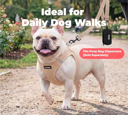 Best Pet Supplies Voyager Nylon Dog Leash - Khaki, Medium