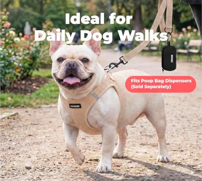 Best Pet Supplies Voyager Nylon Dog Leash - Khaki, Medium