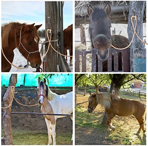 Martx Blocker Tie Ring for Horses, Stainless Steel Tack Accessories