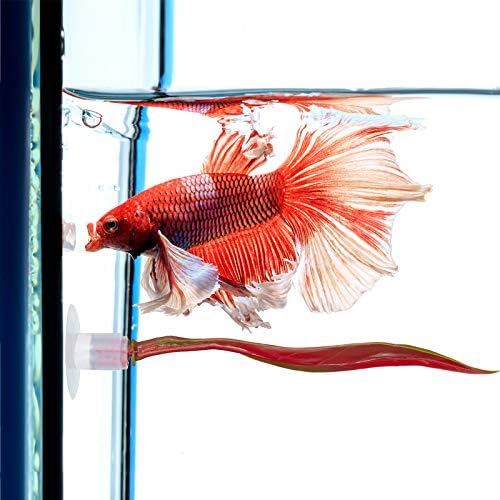 WILLBOND 2 Pcs Red Silicone Betta Fish Bed Leaf Hammock Betta Fish Tank Accessories Decorations for Aquarium Ornaments, Practical Resting Spot, Comfortable and Safe