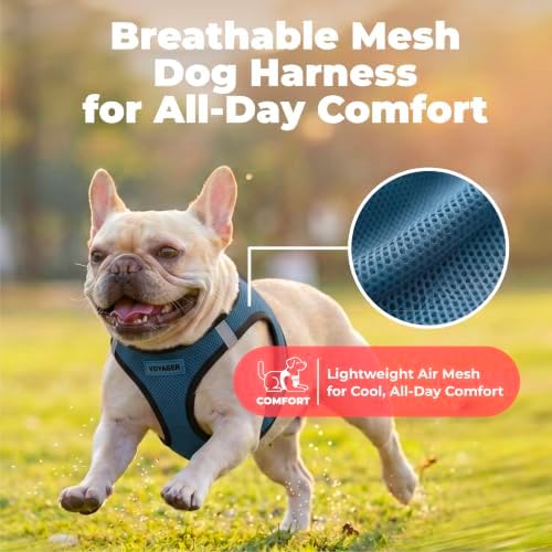 Voyager Step-in Air Dog Vest Harness - Blue/Black Trim, X-Small