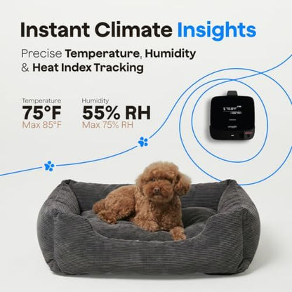 Waggle RV Pet Temperature Monitor, 4G Cellular, No WiFi Required