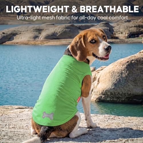 KYEESE 2Pack Dog Shirts for Small Dogs Breathable Mesh Tank Top