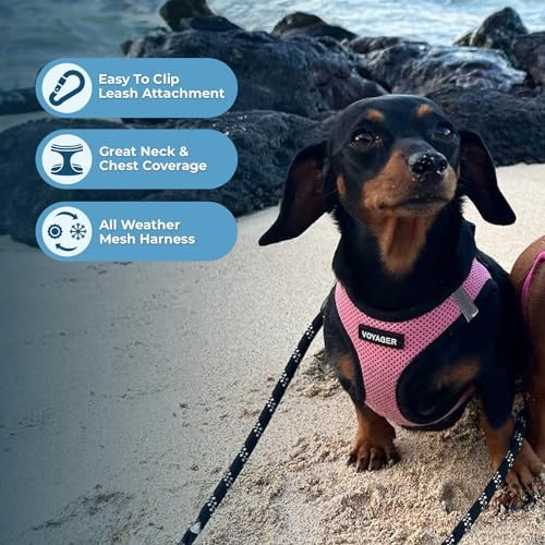 Voyager Step-in Air Dog Vest Harness - Pink/Black Trim, Large