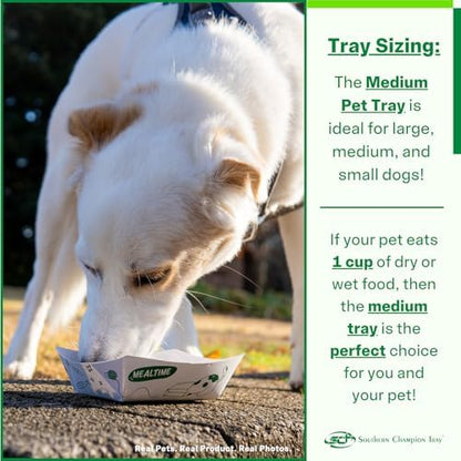SCT, Medium Disposable Pet Food Bowl, 1 Cup, (10 Quantity) Cat Tray, Travel Pet Bowl, Feeding Cats and Dogs, Wet and Dry Food, Indoor and Outdoor, One Cup Capacity, 10 Ct