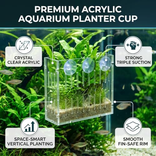 Aquarium Plant Grass Cup Transparent Water Plant Growing Holder, Acrylic Fish Water Plants Planter Grass Container with Suction Cups, Decorative Aquarium Plant Grass Cup