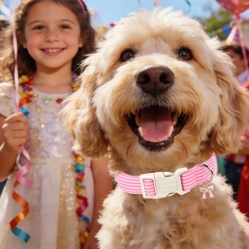 DOGWONG Pink Striped Girl Dog Collar for Small Medium Dog XL