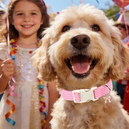 DOGWONG Pink Striped Girl Dog Collar for Puppy Dogs XS
