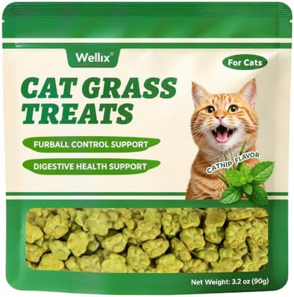 Wellix Cat Grass Treats with Catnip & Salmon, Cat Hairball Treats, 3.2 oz