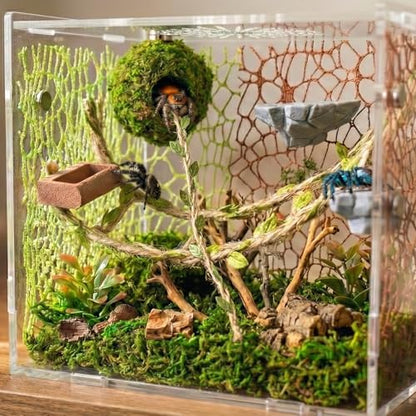 Jumping Spider Enclosure Accessories Kit - Magnetic Moss Ball Hideout, 2 Rock Ledges, Feeding Bowl, Climbing Mesh Nets & Rope Ladder - Natural Forest Habitat Decor for Regal (Moss Cave with Rope)