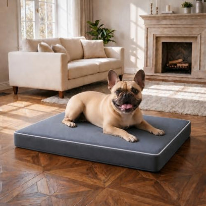 Orthopedic Dog Mat, 100% Waterproof 28D Foam Bed, Washable