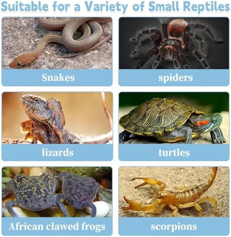 PINVNBY Reptile Feeding Box 6 PCS Snake Breeding Box Lizard Cricket Cage Habitat Hatching Container Transparent Portable Critter Keeper for Spider Scorpion Gecko Tortoise Treefrog (2 Large 4 Small)