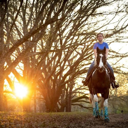Jeffers Expression Protective Horse Boots, 1 Pair, Medium - Safe Neoprene Leg Guards, Durable Strap Closures, Front & Hind Support, Equestrian Accessories for Travel & Riding - Bisbee Blue