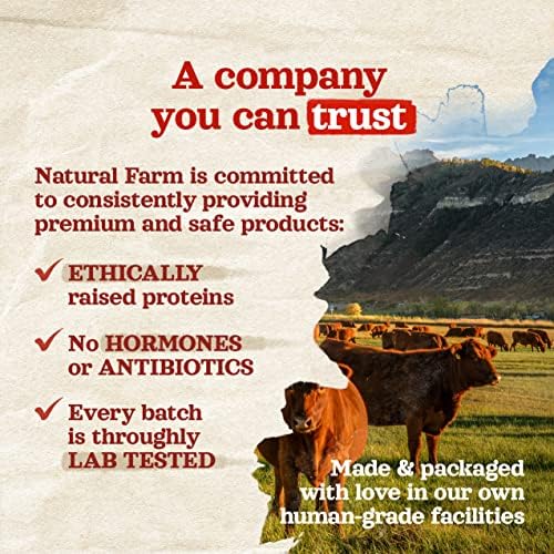 Natural Farm Bacon & Cheese Filled Bones (3-4 Inch, 6 Pack), Limited Ingredient, Natural Stuffed Dental Dog Bone Treats for Dogs, Made with Real Beef