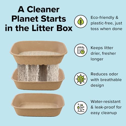 Kitty Sift (Set of 1 Litter Box & 5 Sifting Liners) Disposable Sifting Cat Litter Box Jumbo, 6 Count, Durable and Portable for Travel with Odor Control