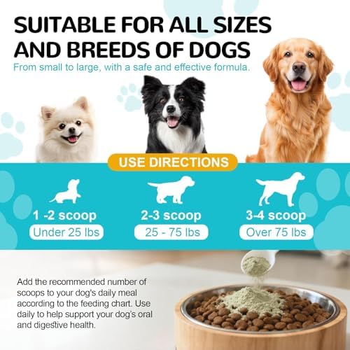 Dental Powder for Dogs, Dog Teeth Cleaning Powder, Teeth Cleaning and Breath Fresher & Plaque and Tartar Remover with Enzyme, Probiotics. PlaqueOff Pet Tooth Cleaning 120 Grams 2 Packs